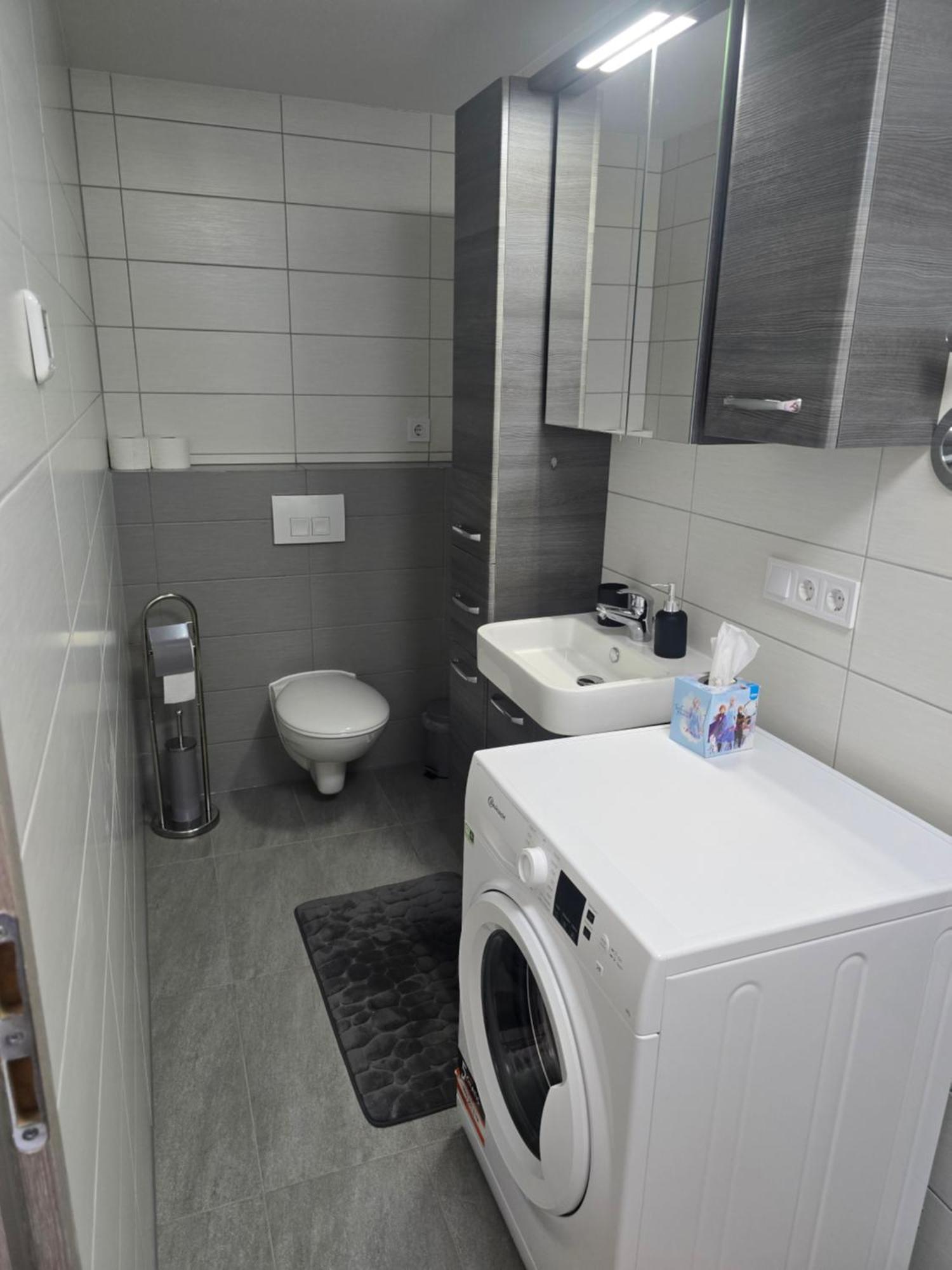 Klimatisierte Moderne Einzimmerwohnung In Mahlberg Exterior foto